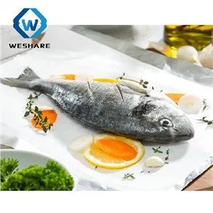 Élelmiszeripari sütő sütőpapír lap